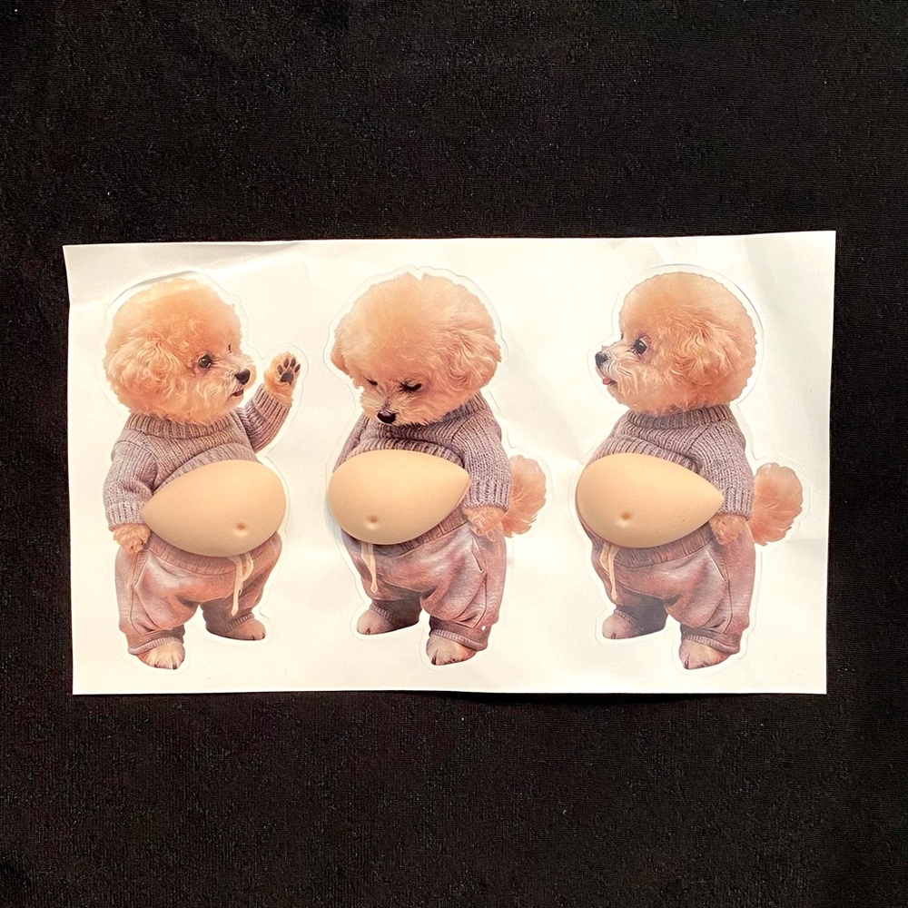 Pudgy Belly Doggy 3D Fidget Sticker Set - Help for stress & anxiety, ADHD NWOT